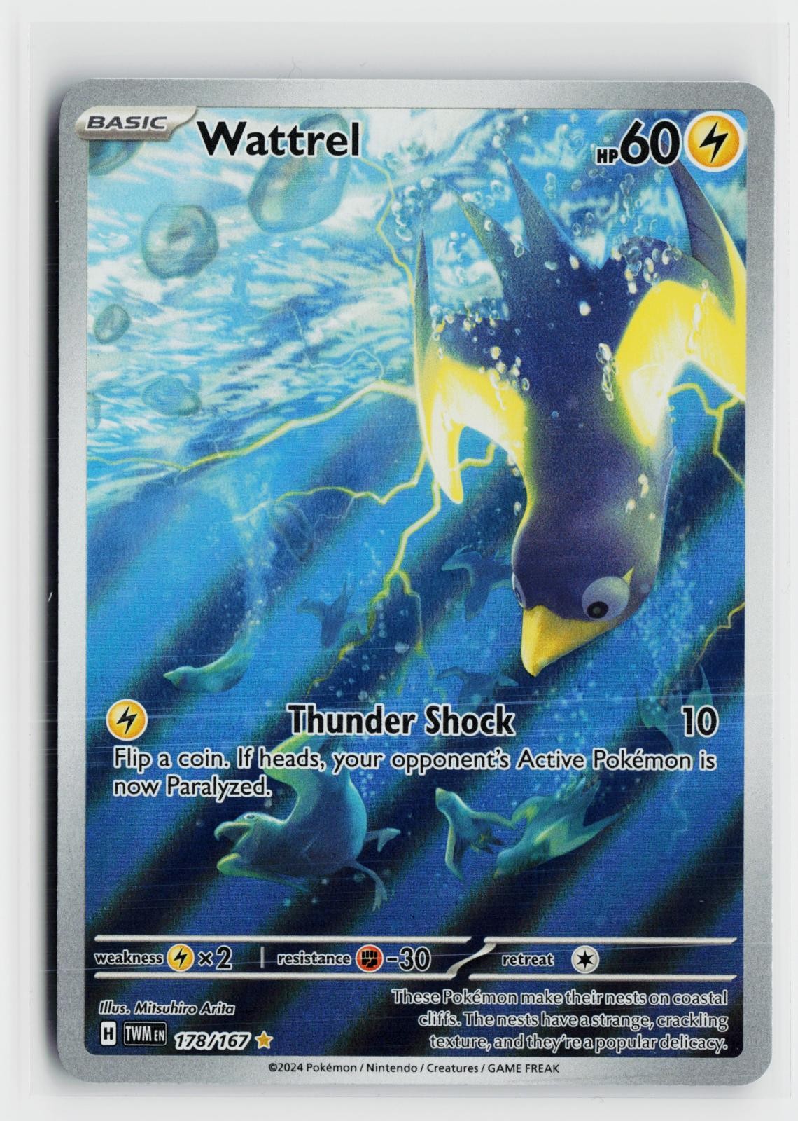 Wattrel 178/167 Twilight Masquerade NM IR Holo Pokemon