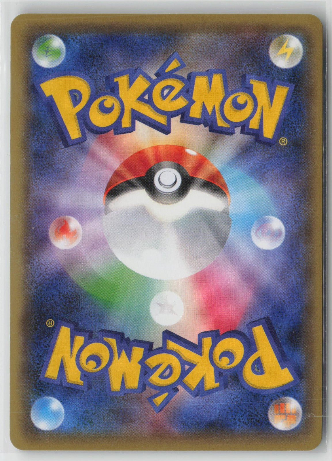 Venusaur EX 233 Promo Gym Stamp Campaign Pokemon Japanese NM
