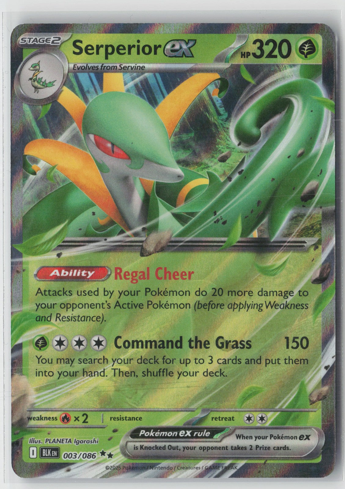 Serperior ex Double Rare SV: Black Bolt 003/086 NM