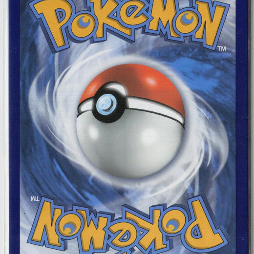 Turffield Stadium 234/203 Secret Rare Evolving Skies Pokemon NM1
