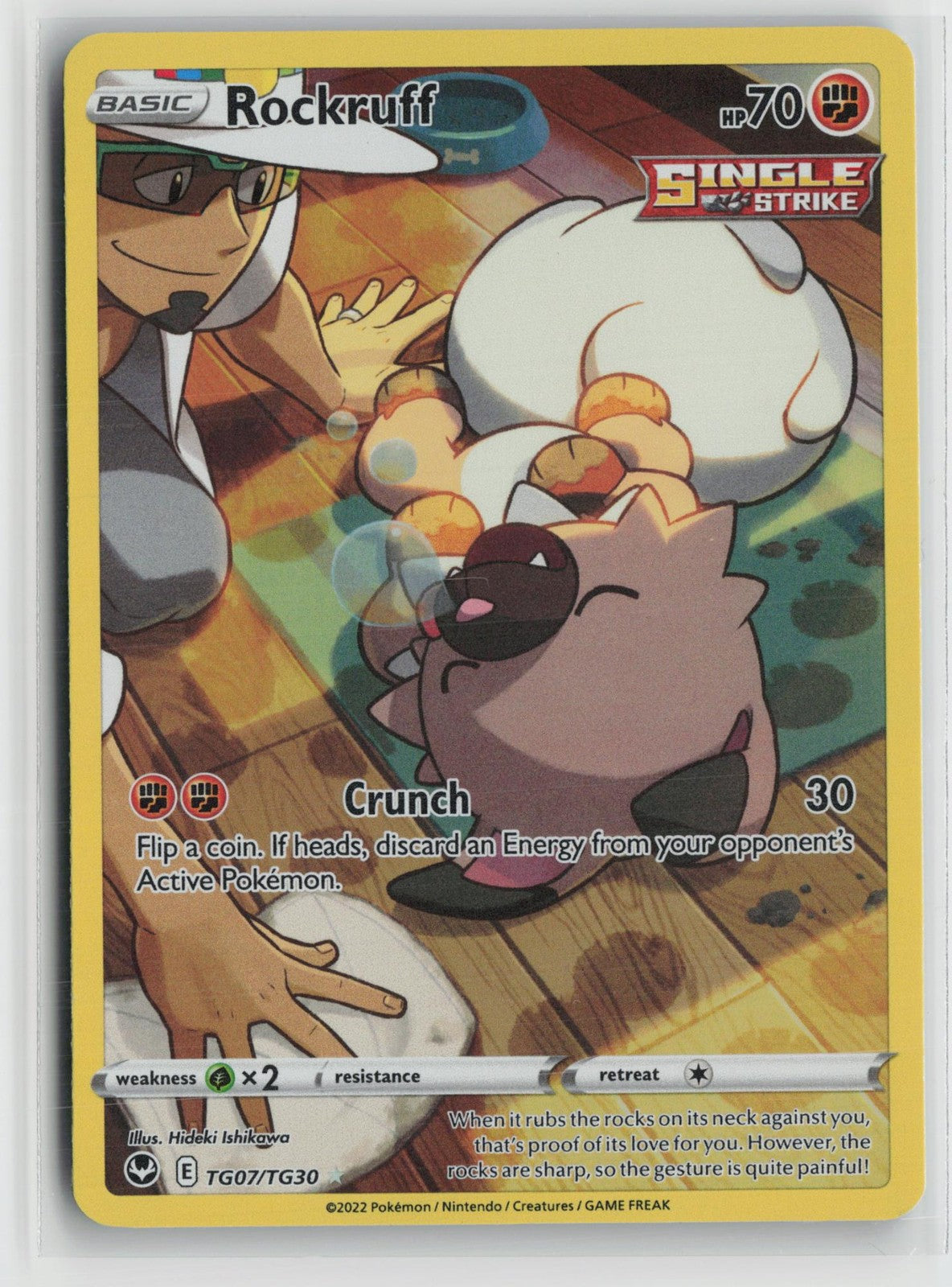 Rockruff TG07/TG30 Holo Silver Tempest Trainer Gallery Pokemon NM