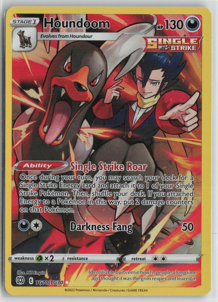 Houndoom TG10/TG30 Holo Brilliant Stars Trainer Gallery Pokemon NM0