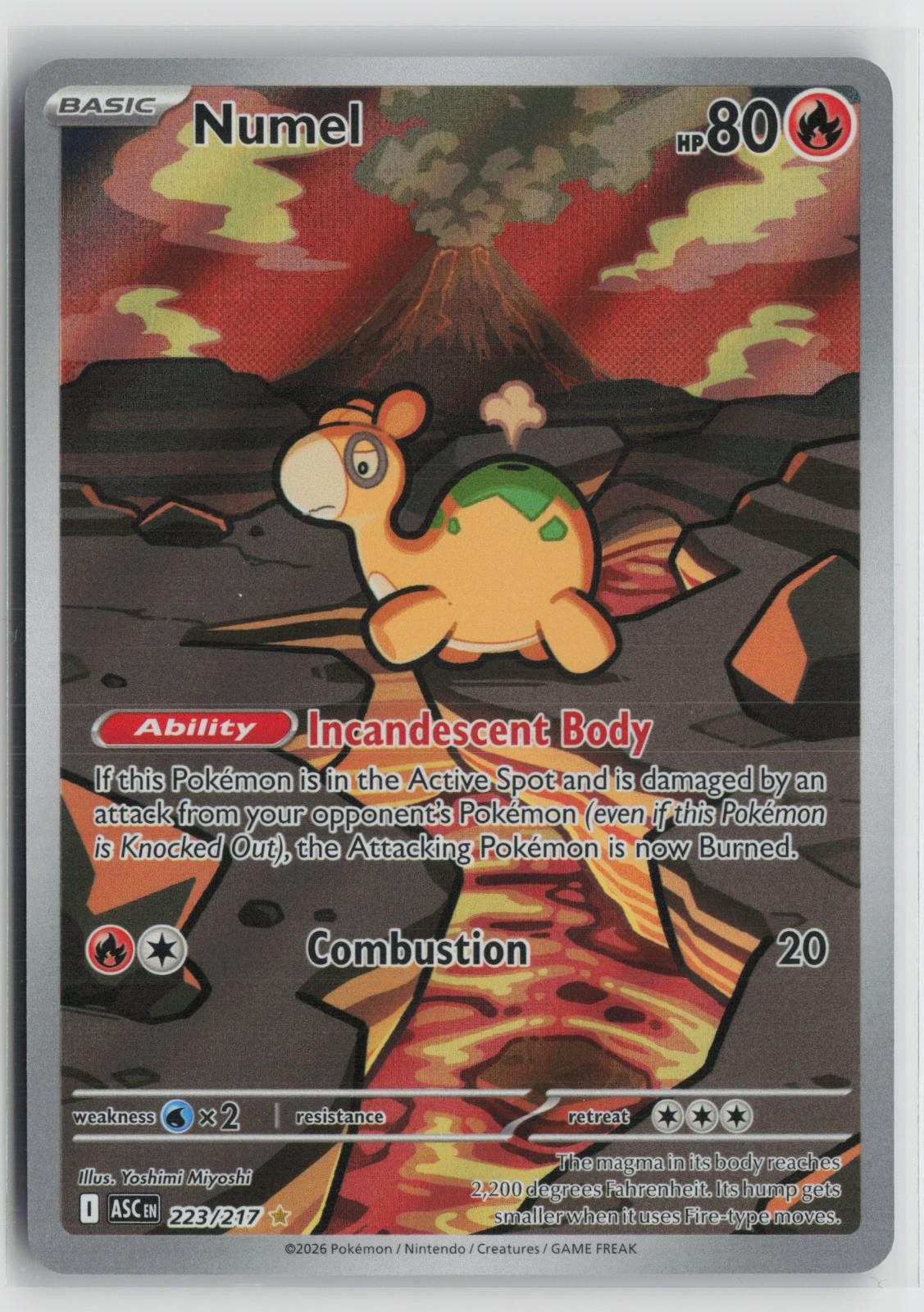 Numel 223/217 Illustration Rare Ascended Heroes Pokemon NM