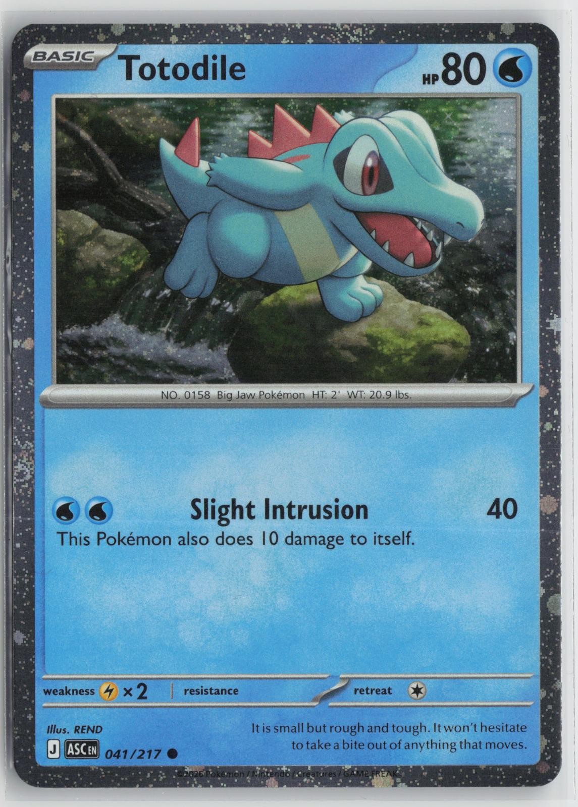 Totodile (Cosmos Holo) 041/217 Holo Miscellaneous Cards & Products Pokemon NM
