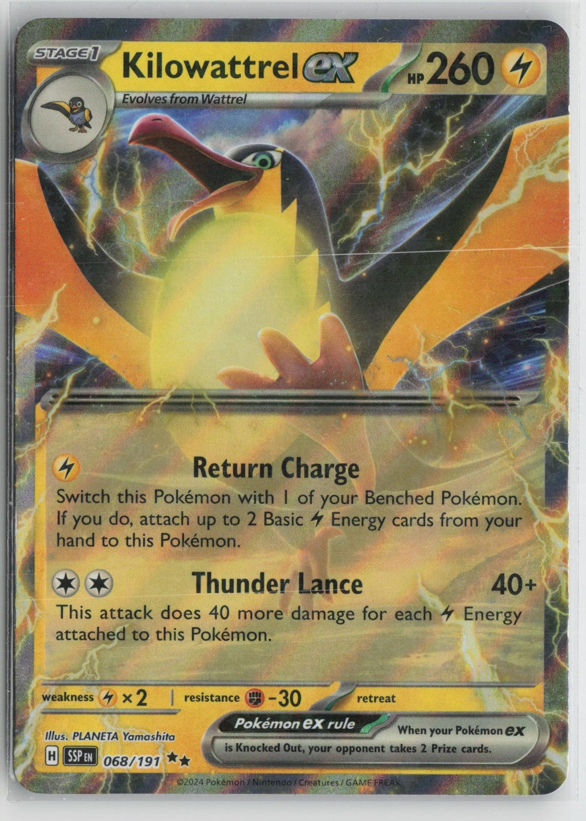 Kilowattrel ex 068/191 Double Rare Surging Sparks Pokemon NM