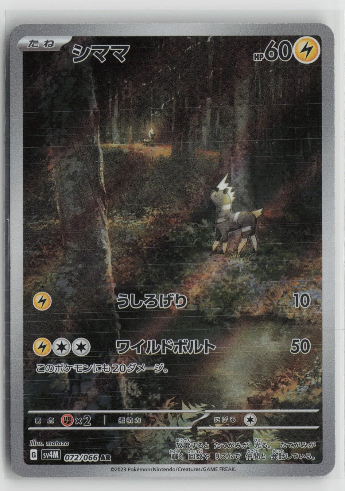 Blitzle 072/066 Art Rare Future Flash Pokemon Japanese NM