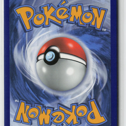 Pikachu V SWSH145 Holo Promo Sword & Shield Promo Pokemon NM1