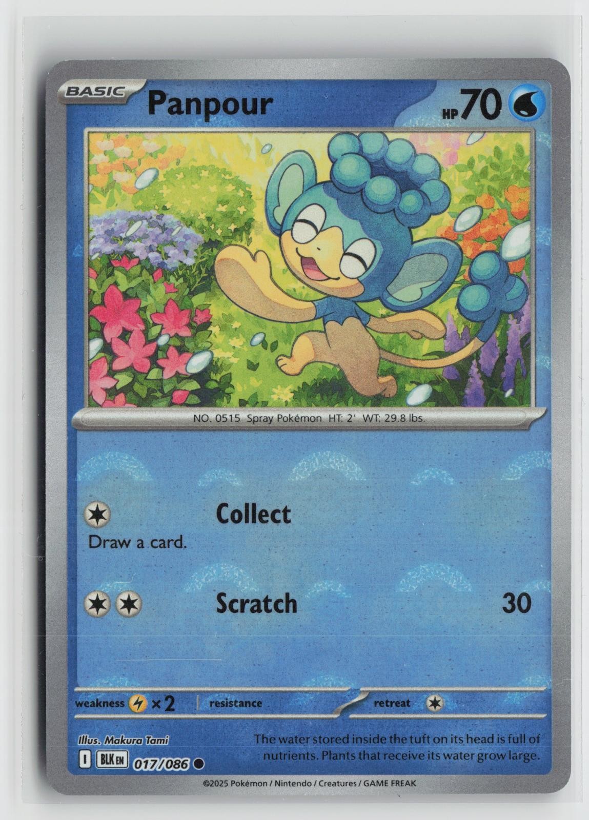 Panpour (Poke Ball Pattern) 017/086 Common Black Bolt Pokemon NM