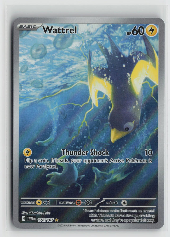 Wattrel 178/167 Twilight Masquerade NM Illustration Rare Holo Pokemon0