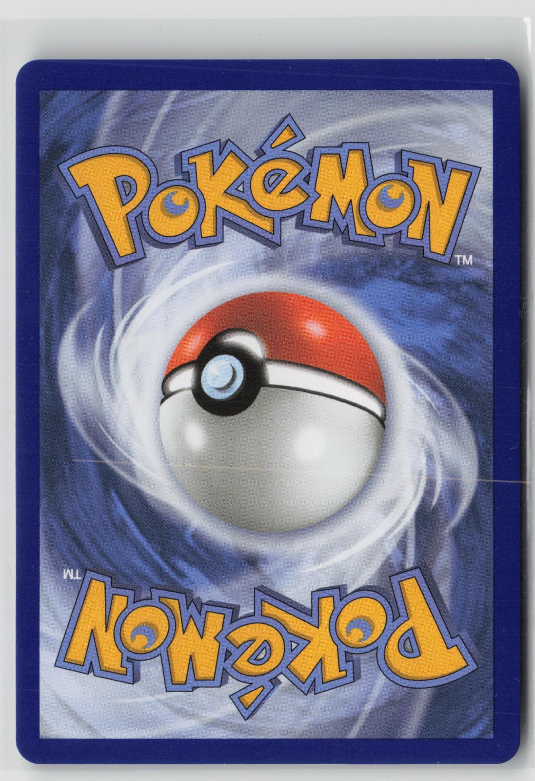 Litten 044 Holo Promo ME: Mega Evolution Promo Pokemon NM