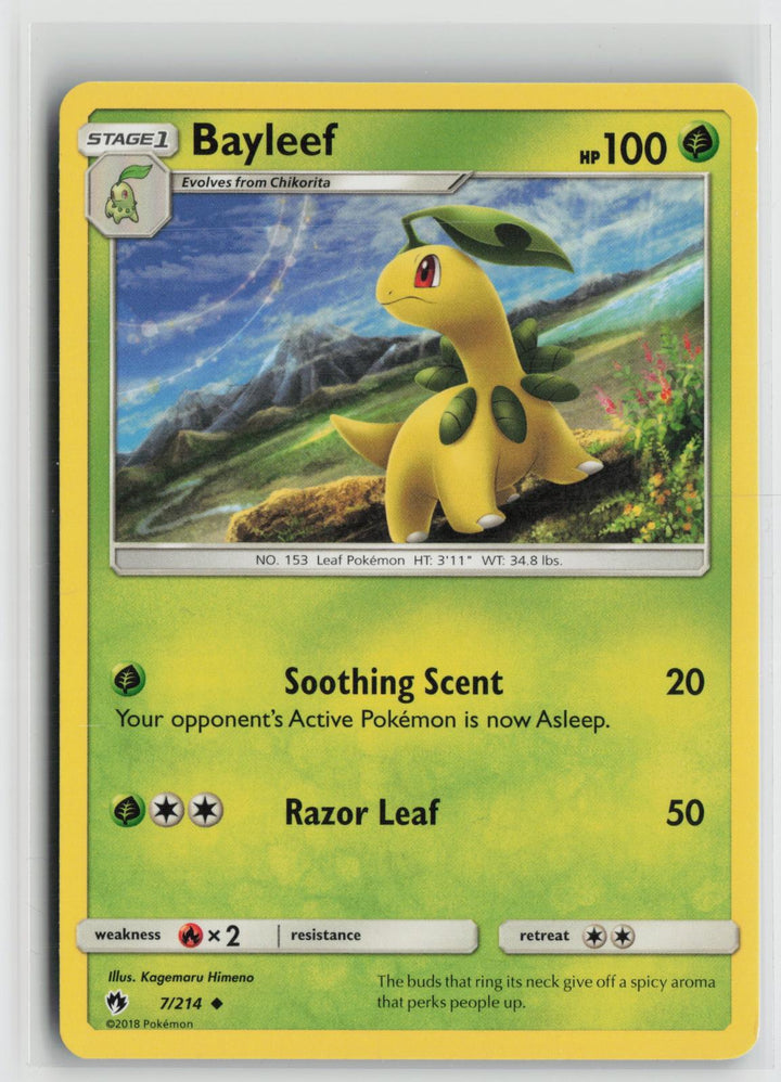 Bayleef 7/214 Uncommon Lost Thunder Pokemon NM0