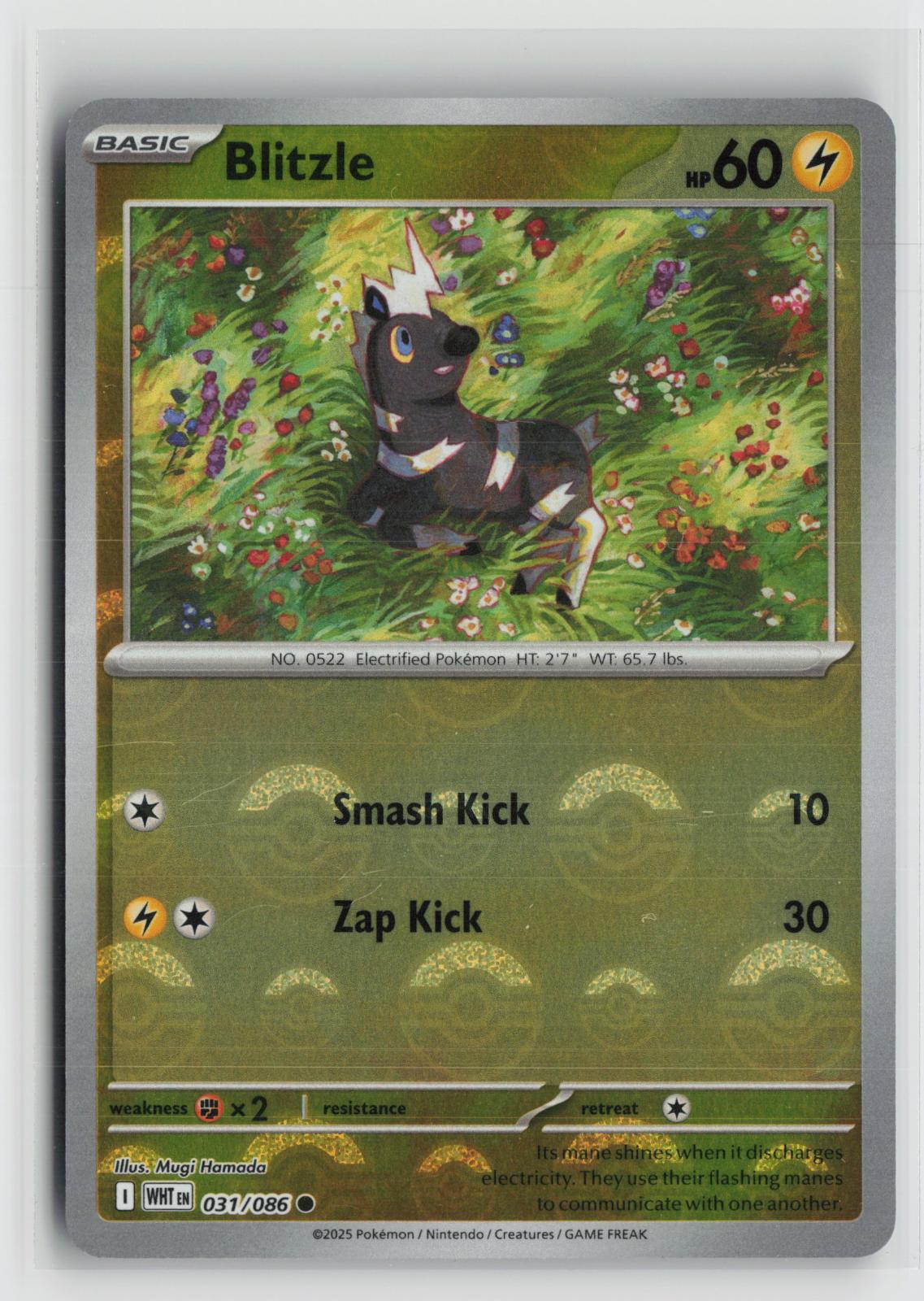 Poke Ball Blitzle 031/086 Common White Flare Pokemon NM