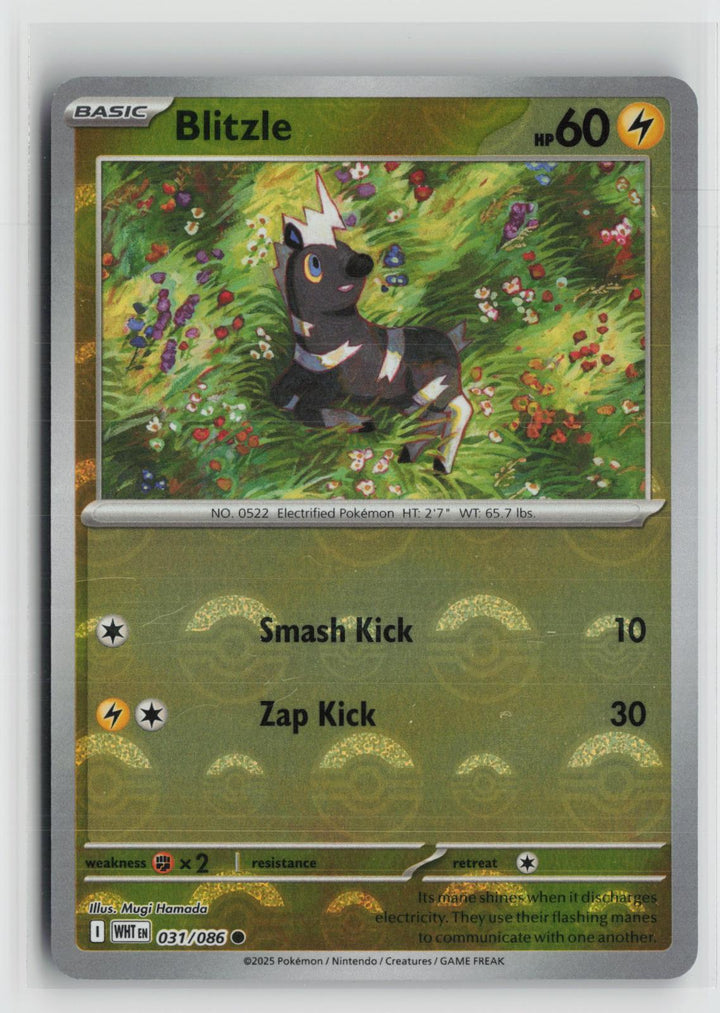Poke Ball Blitzle 031/086 Common White Flare Pokemon NM0