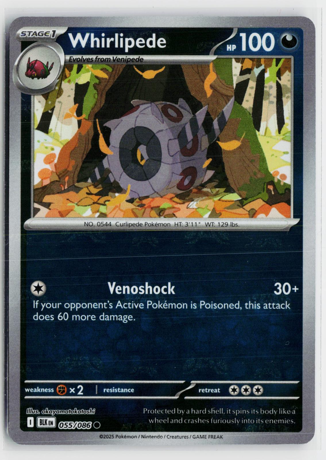 Whirlipede 055/086 Black Bolt NM C Pokemon