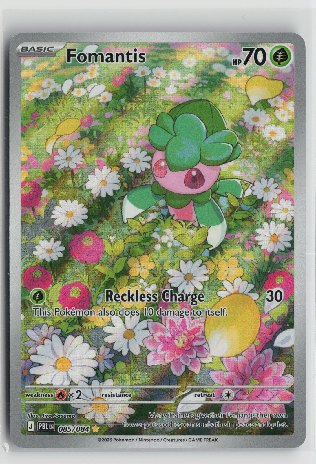 Fomantis 085/084 Pitch Black NM Illustration Rare Holo Pokemon