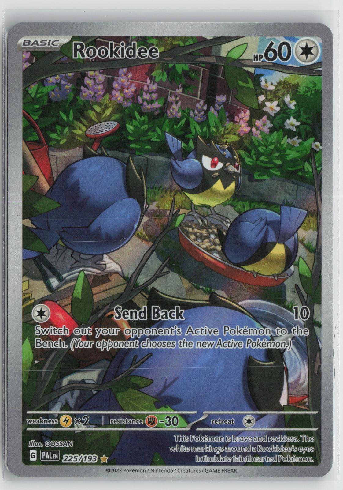 Rookidee 225/193 Paldea Evolved NM Illustration Rare Holo Pokemon