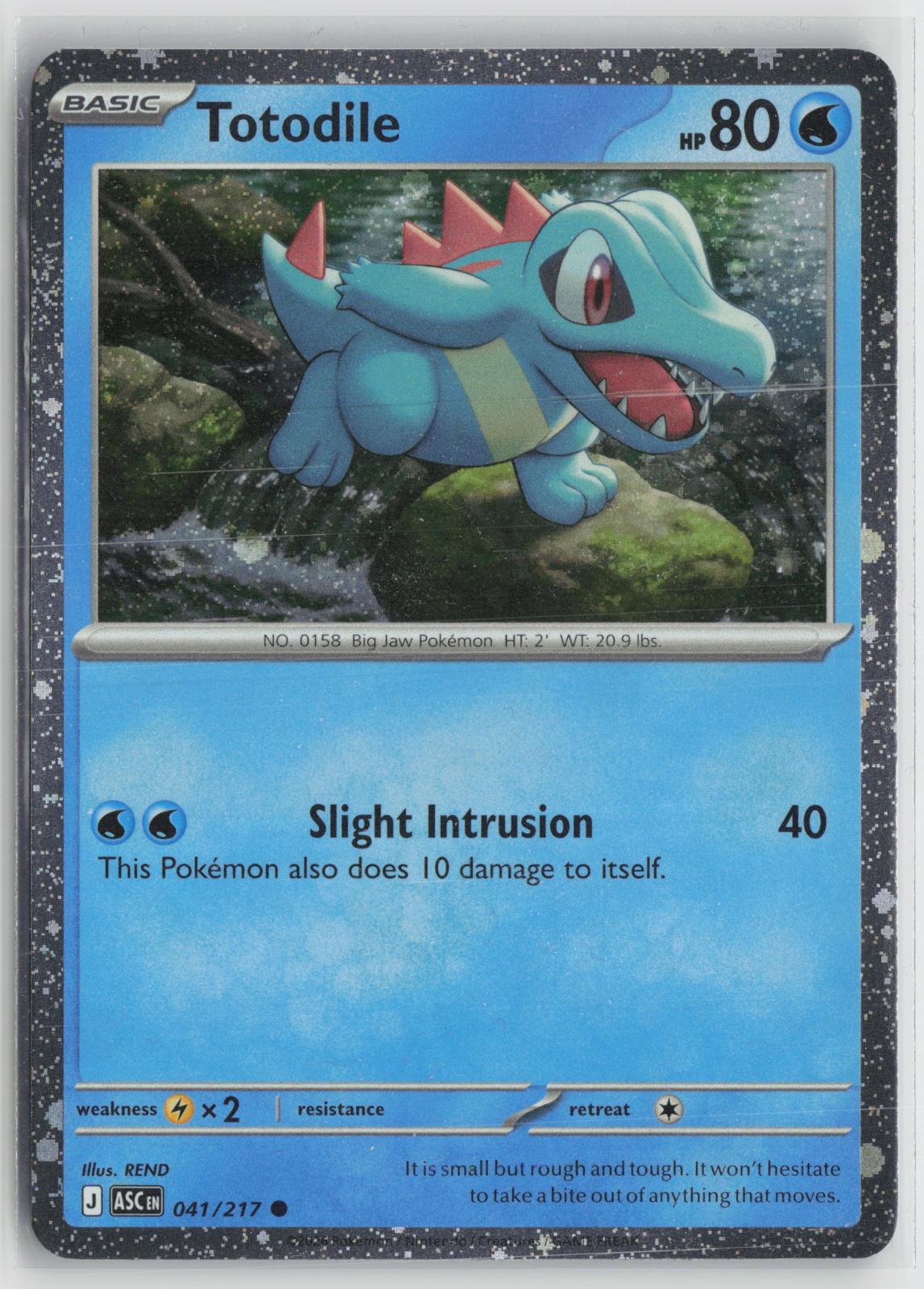 Totodile 041/217 Common Ascended Heroes Pokemon NM