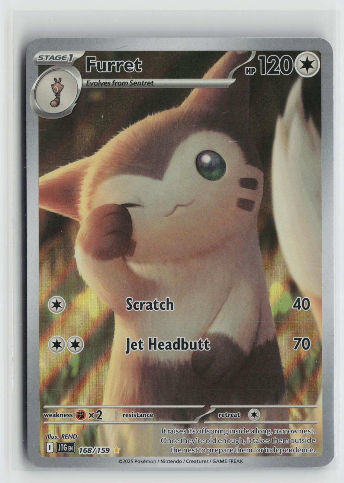 Furret 168/159 Journey Together NM Illustration Rare Holo Pokemon