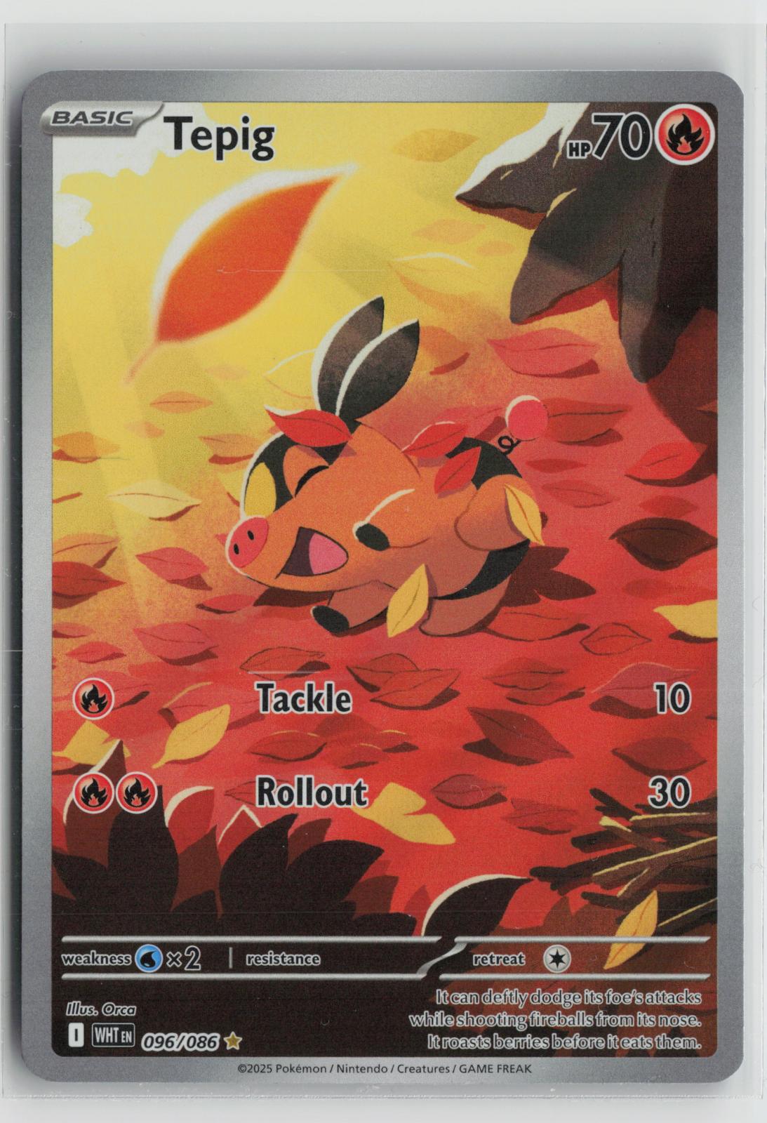 Tepig 096/086 White Flare NM Illustration Rare Holo Pokemon