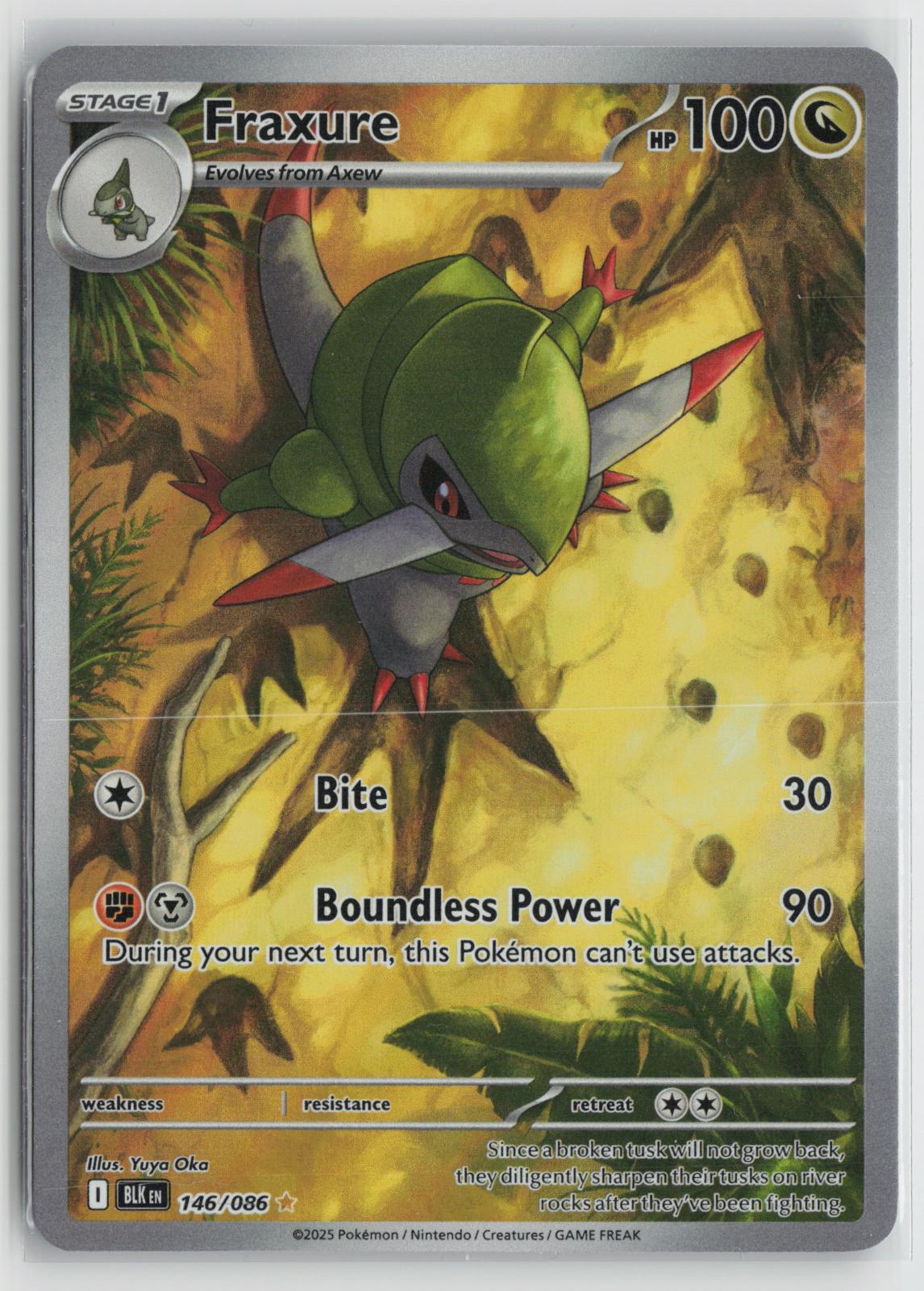 Fraxure 146/086 Black Bolt NM Holo Illustration Rare Pokemon