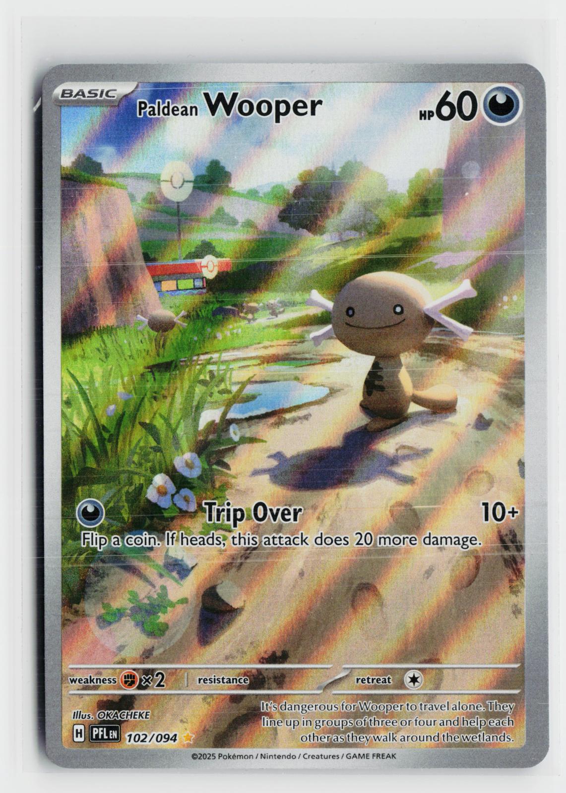 Paldean Wooper 102/094 Phantasmal Flames NM IR Holo Pokemon