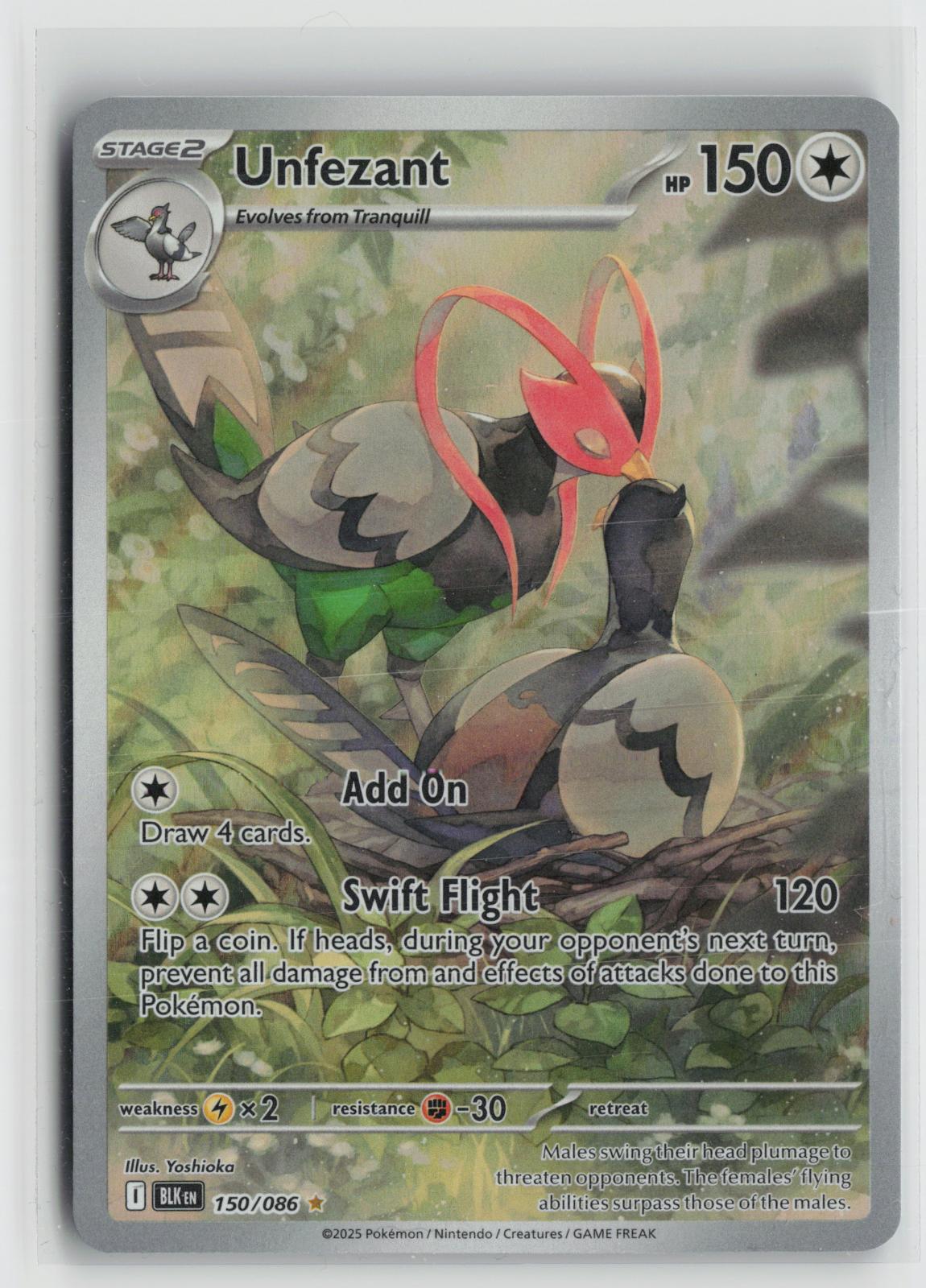 Unfezant 150/086 Holo Illustration Rare Black Bolt Pokemon NM