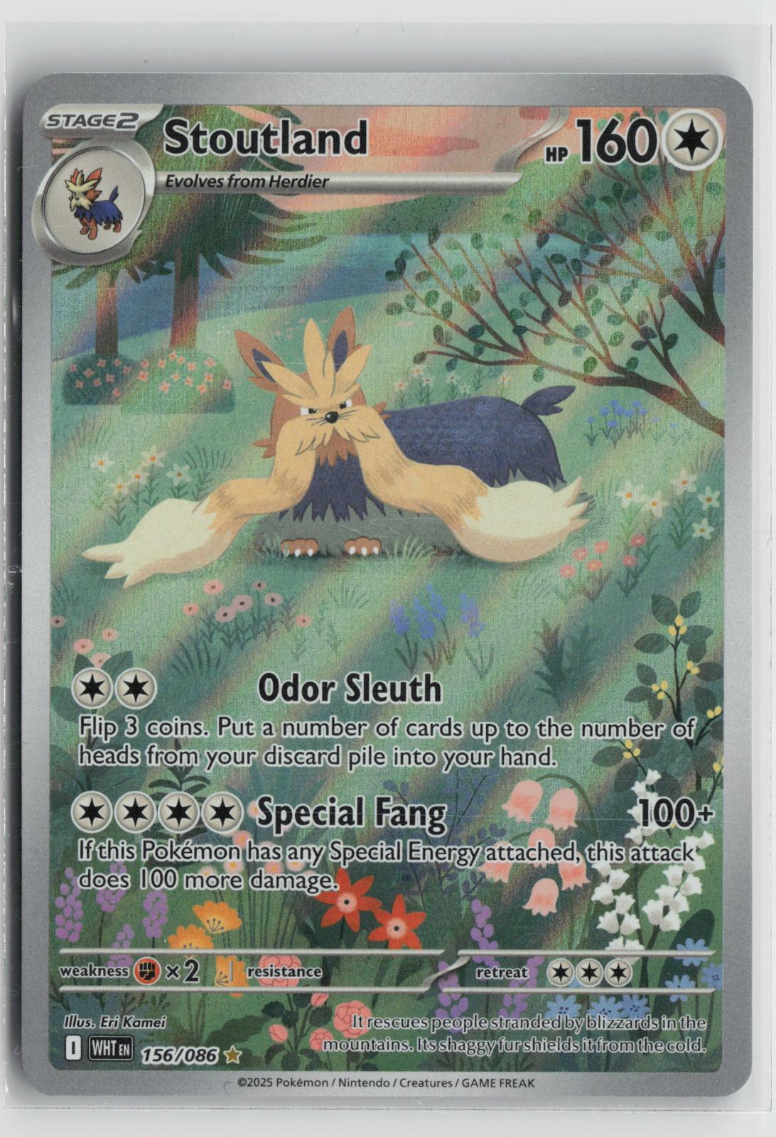 Stoutland 156/086 White Flare NM Illustration Rare Holo Pokemon