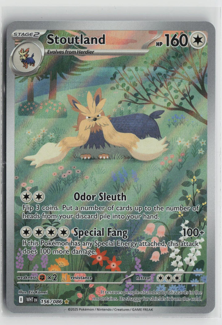 Stoutland 156/086 White Flare NM Illustration Rare Holo Pokemon0