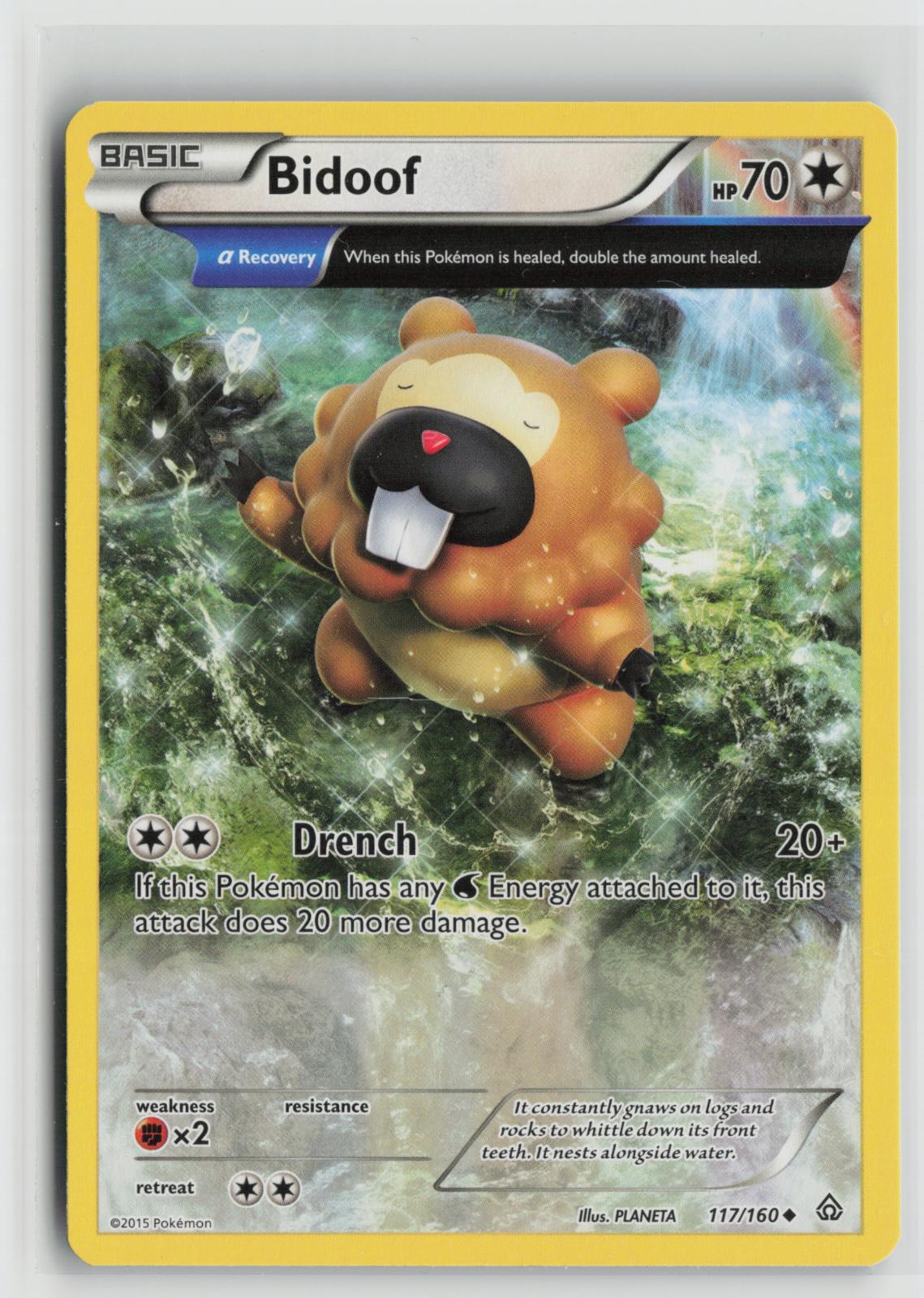 Bidoof 117/160 Primal Clash NM UC Pokemon