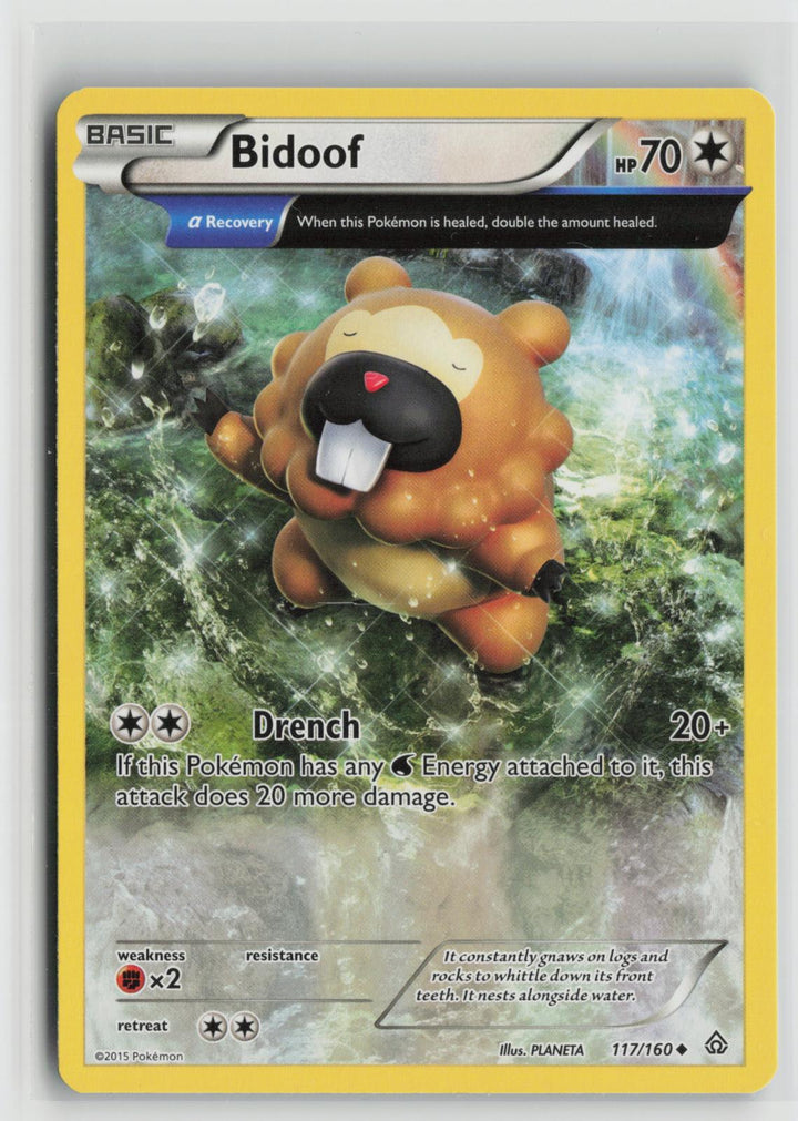 Bidoof 117/160 Primal Clash NM UC Pokemon0