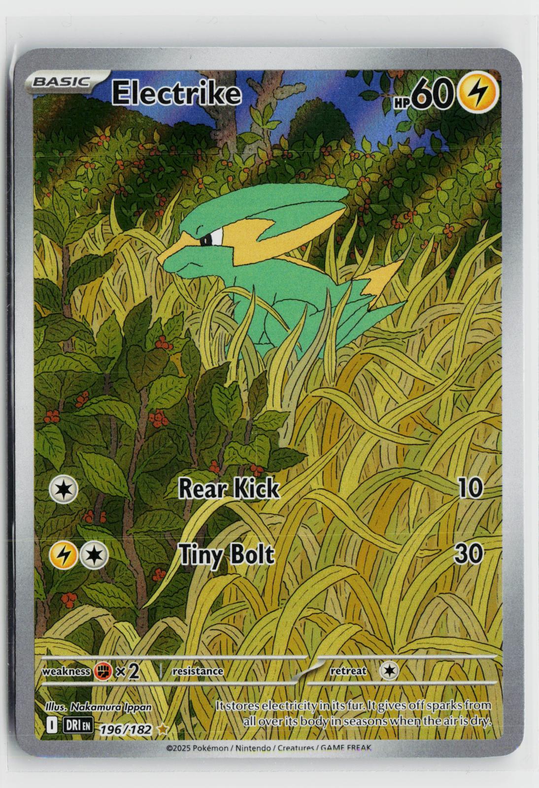 Electrike 196/182 Destined Rivals NM IR Holo Pokemon
