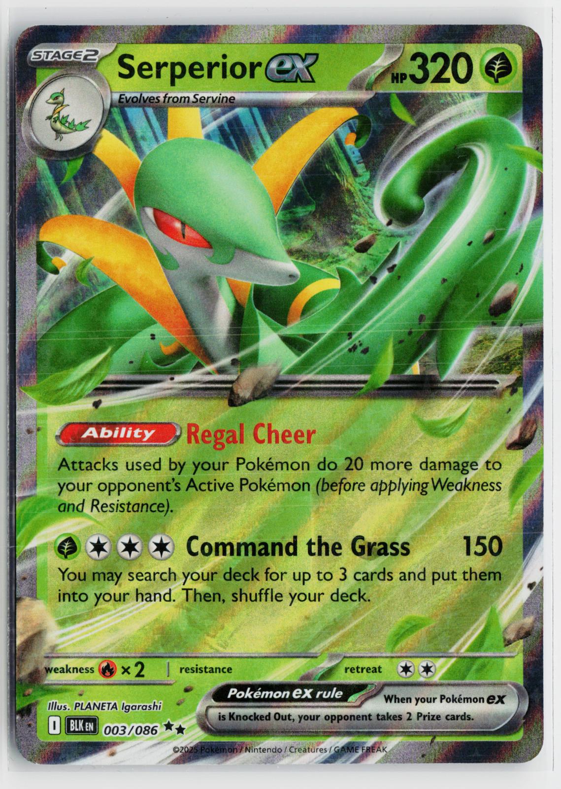Serperior ex 003/086 Black Bolt NM Holo RR Pokemon