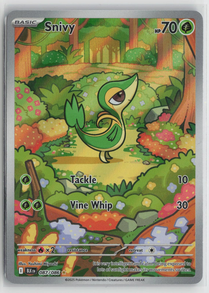 Snivy 087/086 Black Bolt NM Holo Illustration Rare Pokemon0