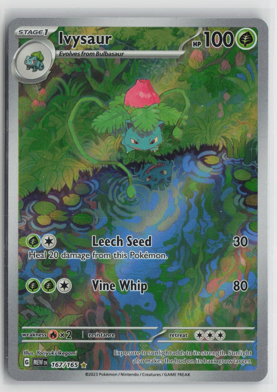 Ivysaur 167/165 151 NM Illustration Rare Holo Pokemon