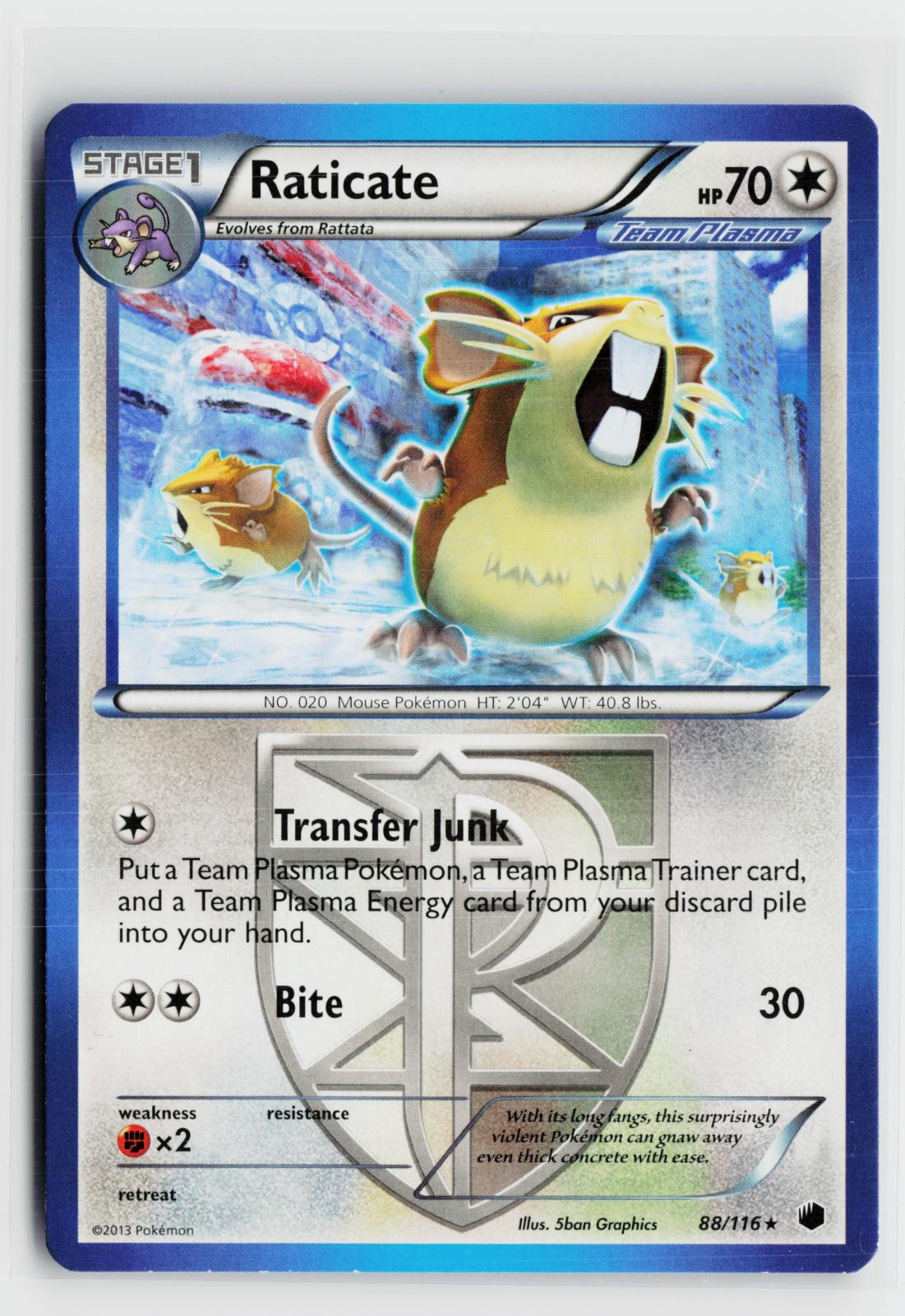 Raticate 88/116 Plasma Freeze NM R Pokemon